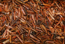 Load image into Gallery viewer, Candied Salmon Jerky - Original