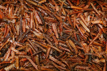 Load image into Gallery viewer, Candied Salmon Jerky - Original

